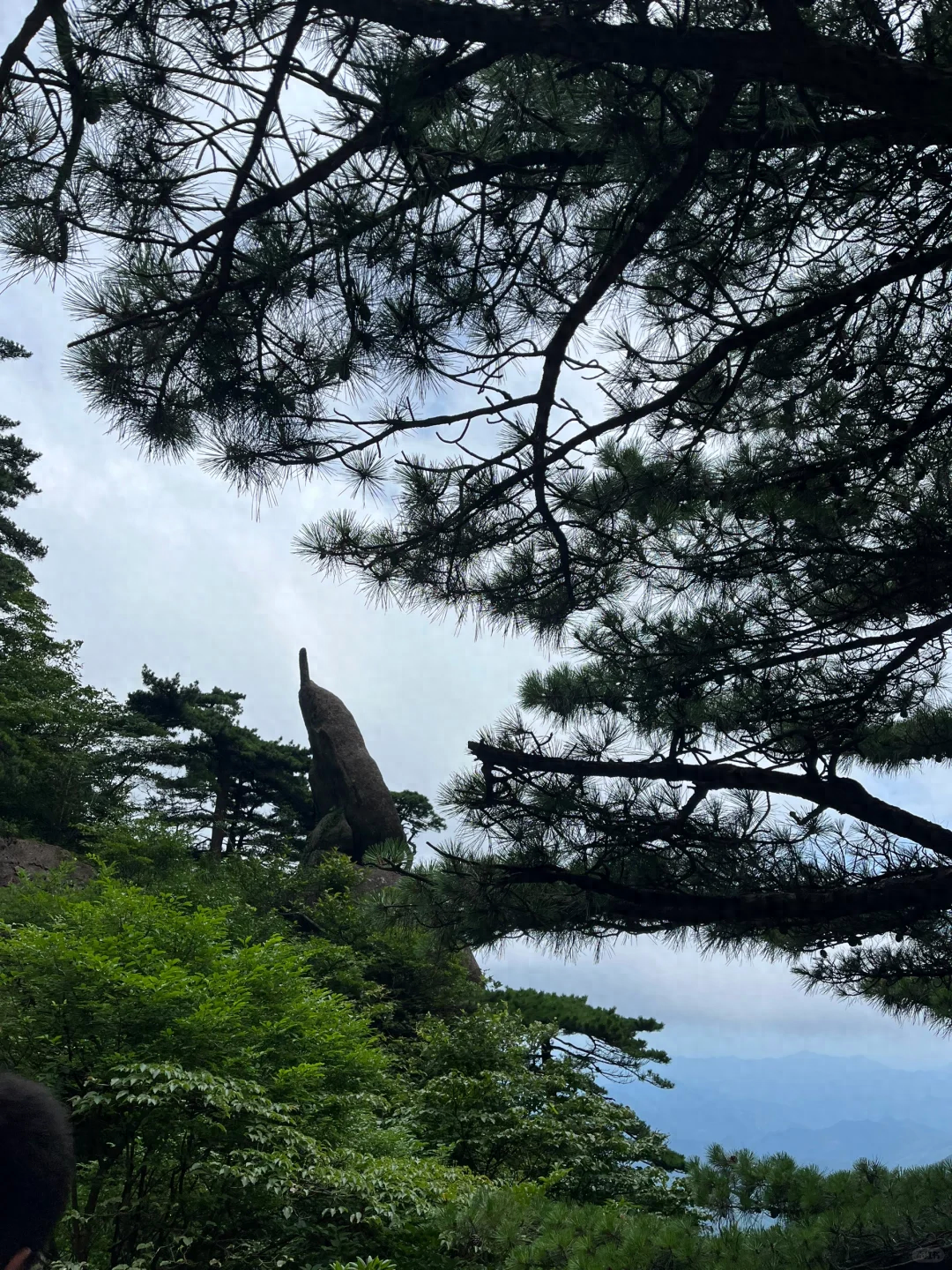 黄山5日游烟雨江南，雾里黄山，黄山旅行5日游最好攻略