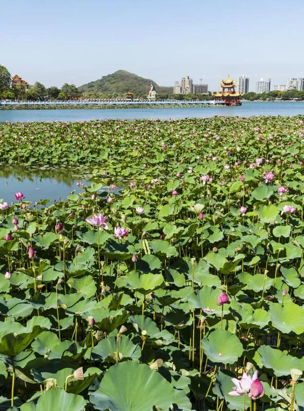 8月至9月是旅游的好季节，天气宜人，适合去很多地方