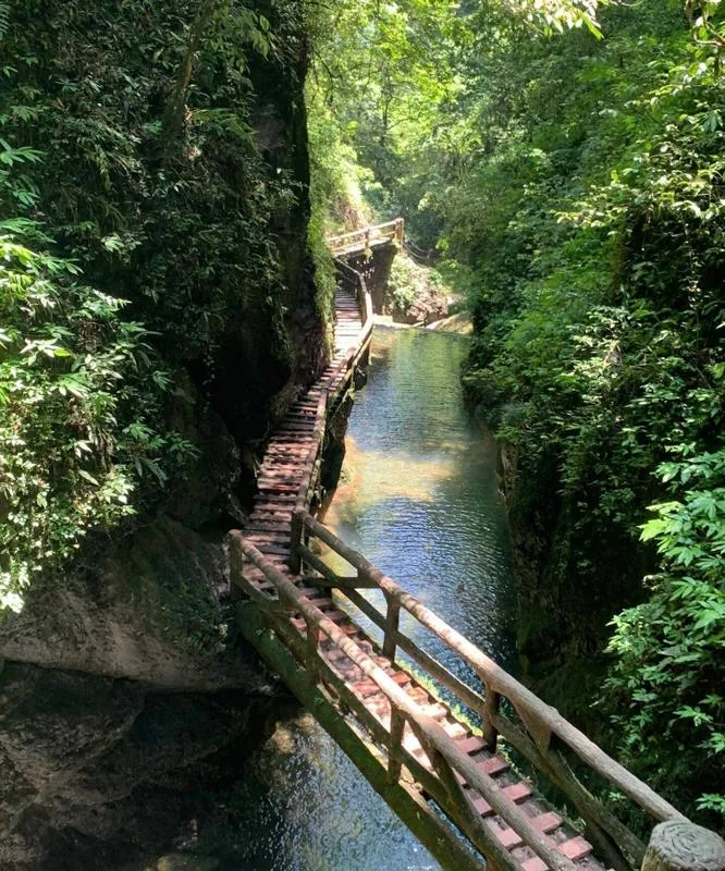 峨眉山携手同程旅游即将开启黄九省“龙行天下·云上金顶”自驾游体验之旅