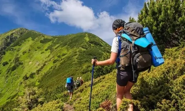 重庆6条独特森林徒步径，轨道交通直达带你畅游绿意盎然之旅！