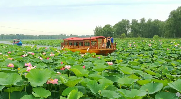 老习俗（民间故事）