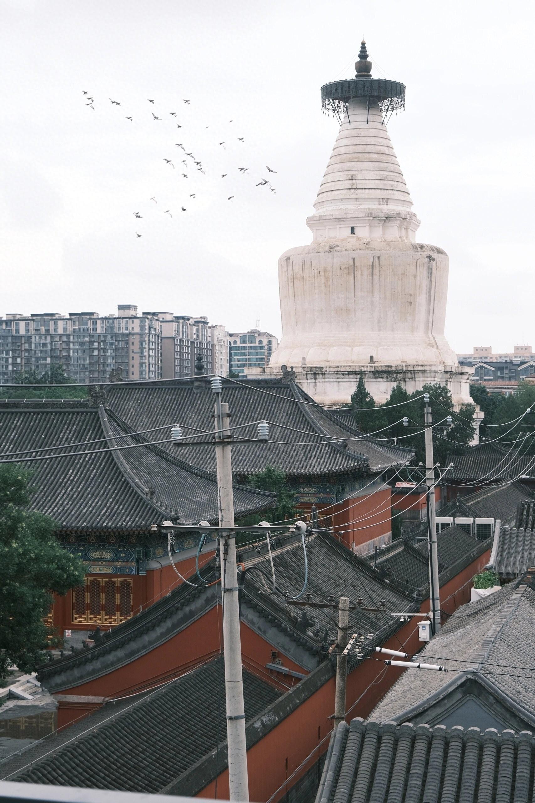 北京五日游跟团游攻略，去北京环球影城需要预约吗，最全攻略